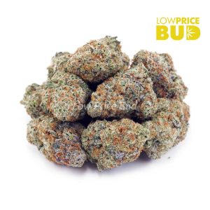Buy Girl Scout Cookies (AAA) online Canada
