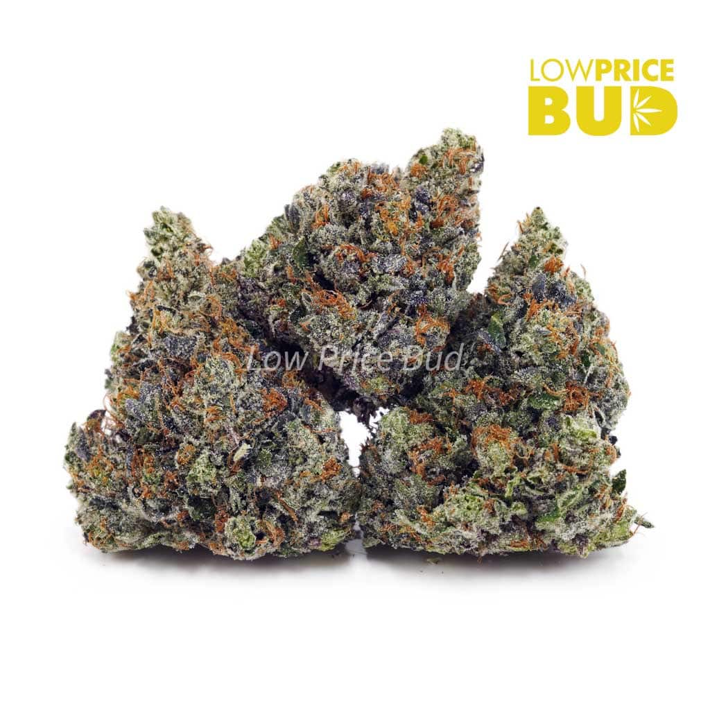 Mike Tyson (Craft Cannabis) Buy Mike Tyson (Craft Cannabis) online Canada