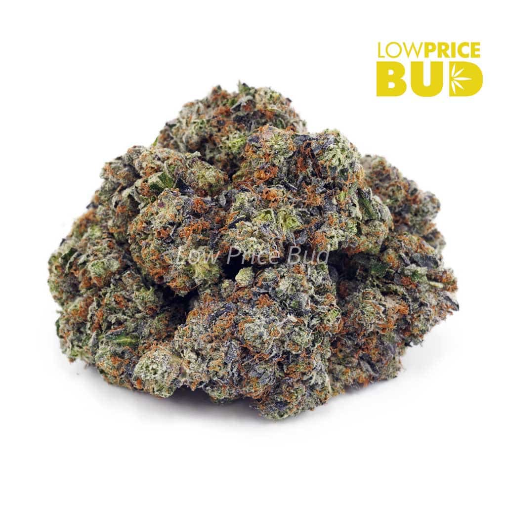 Mike Tyson (Craft Cannabis) Buy Mike Tyson (Craft Cannabis) online Canada