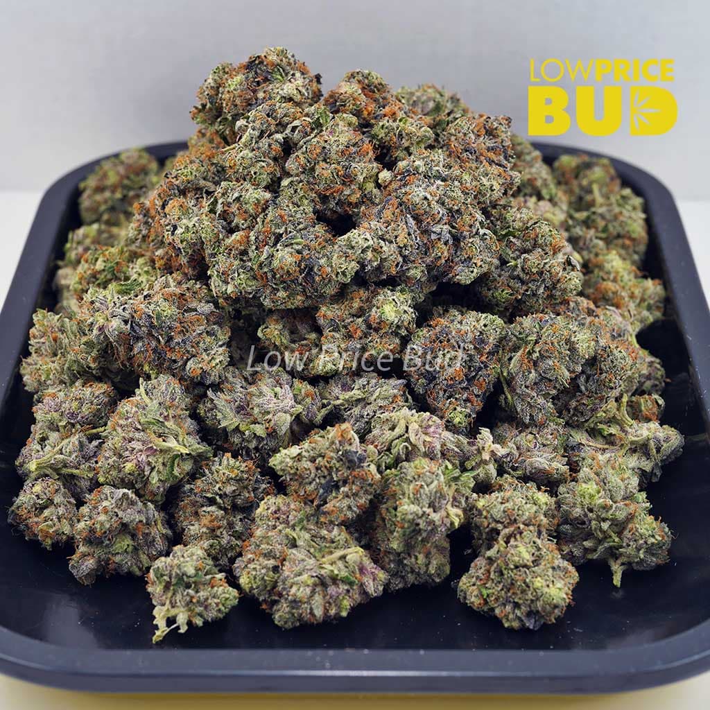 Mike Tyson (Craft Cannabis) Buy Mike Tyson (Craft Cannabis) online Canada