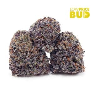 Buy Oranges and Cream (Craft Cannabis) online Canada