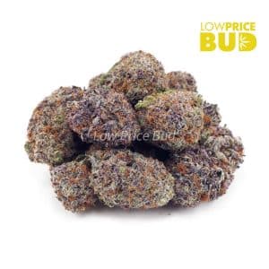 Buy Oranges and Cream (Craft Cannabis) online Canada