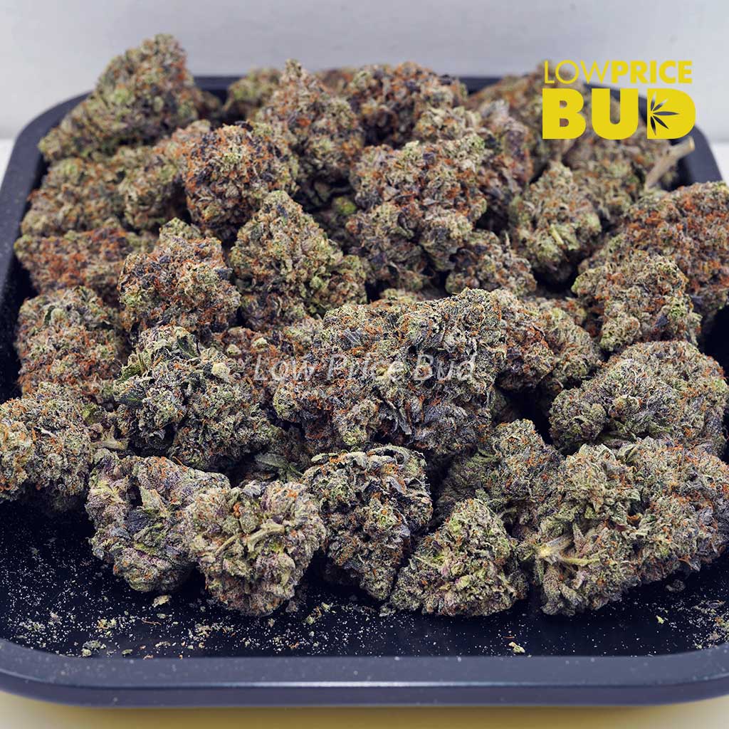 Island Pink Kush (Craft Cannabis) Buy Island Pink Kush (Craft Cannabis) online Canada