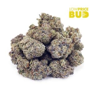 Buy Blueberry Cheesecake (Craft Cannabis) online Canada