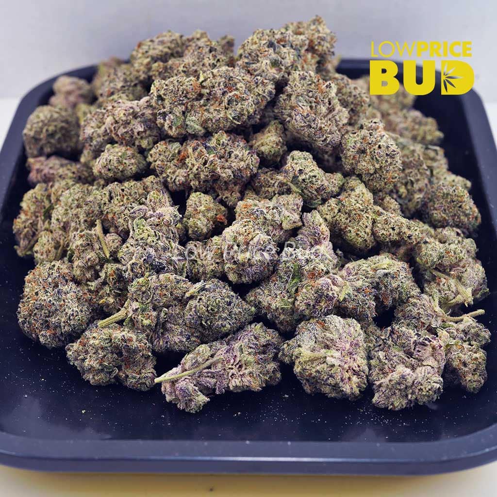 Blueberry Cheesecake (Craft Cannabis) Buy Blueberry Cheesecake (Craft Cannabis) online Canada