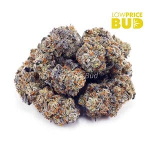 Buy Platinum Kush (AAA) online Canada