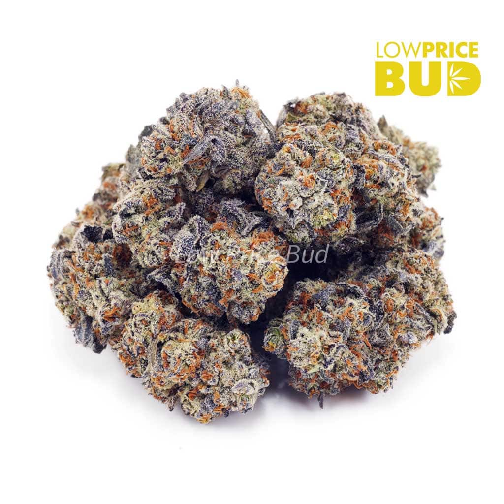 Platinum Kush (AAA) Buy Platinum Kush (AAA) online Canada