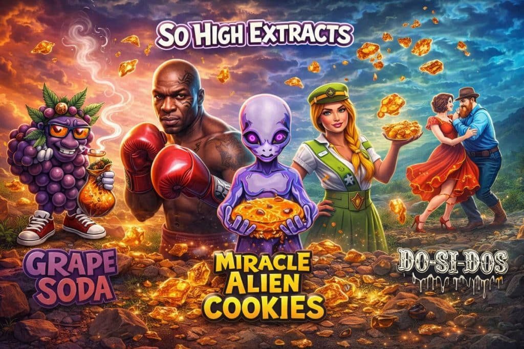 So High Extracts Premium Shatter blog banner LPB