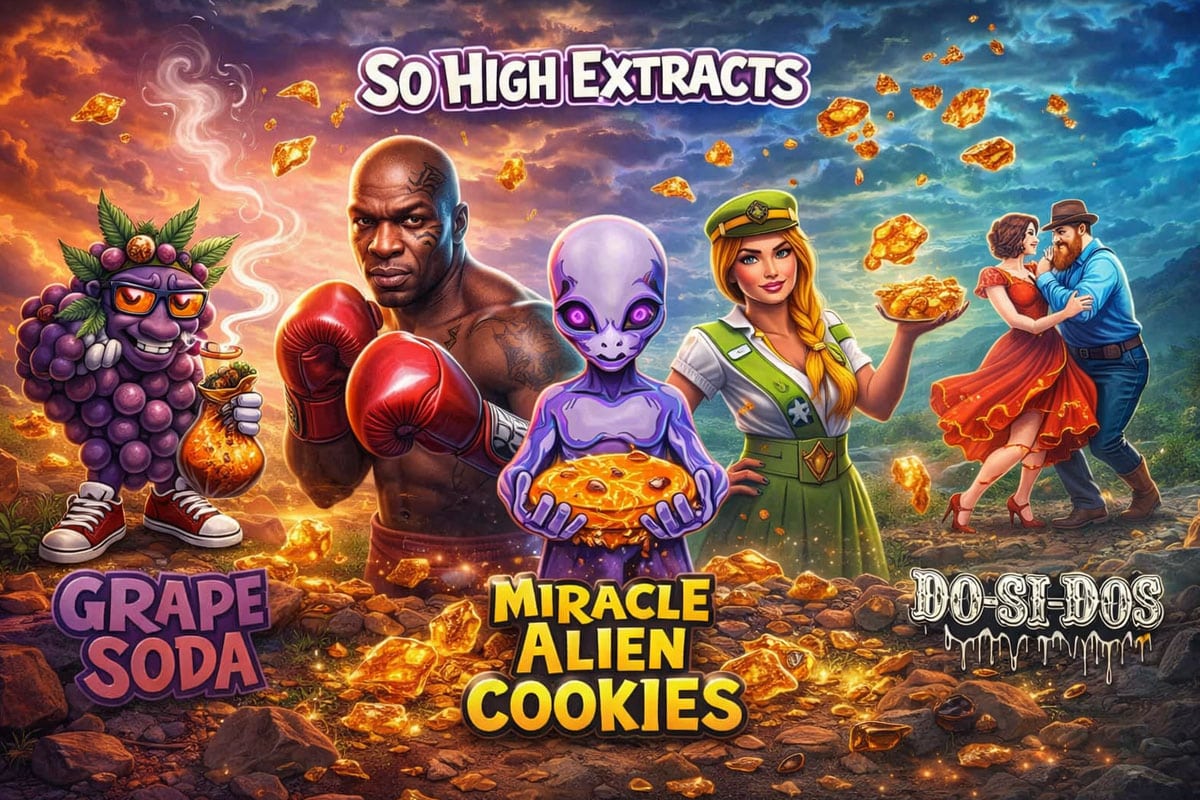 So High Extracts Premium Shatter blog banner LPB