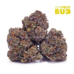 Wreckless Rainbow (AAAA) Buy Wreckless Rainbow (AAAA) online Canada