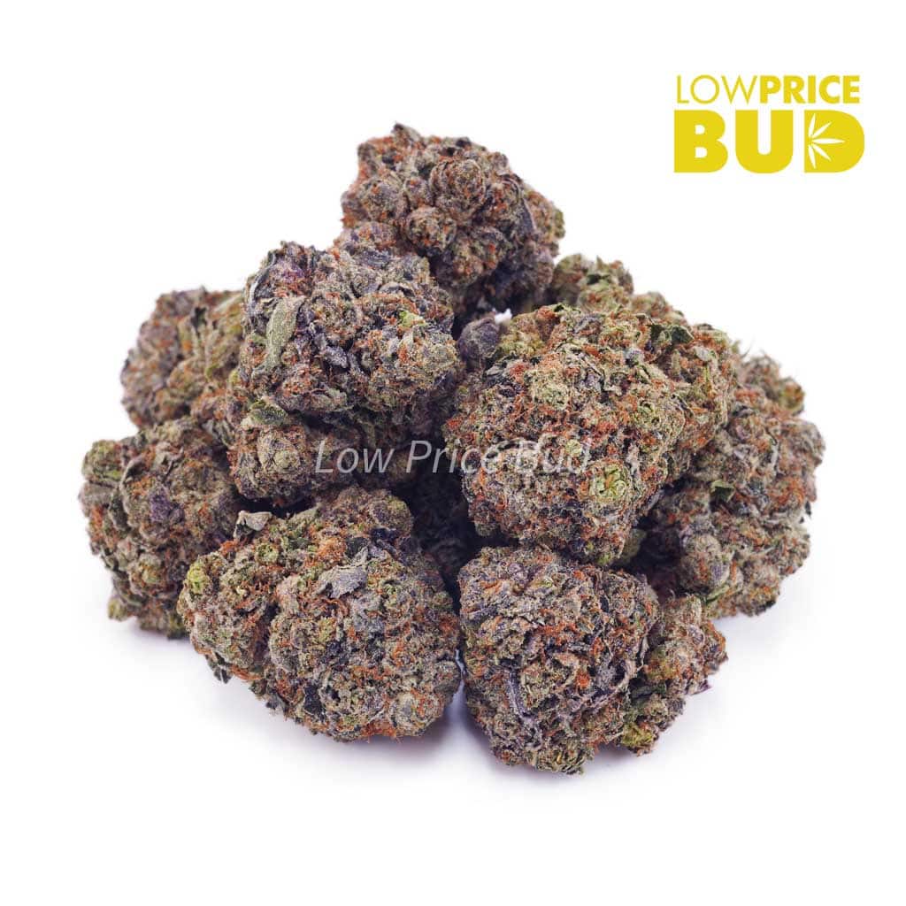 Wreckless Rainbow (AAAA) Buy Wreckless Rainbow (AAAA) online Canada