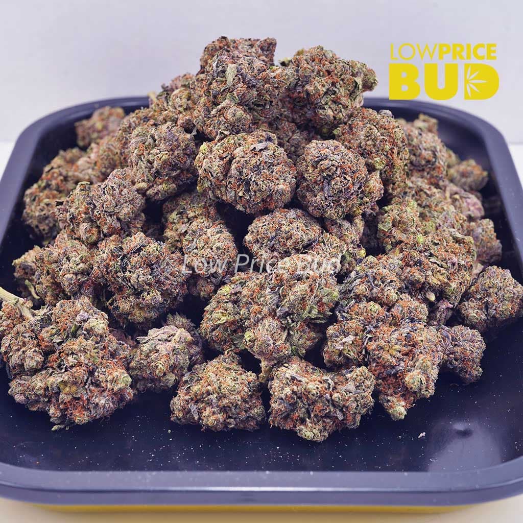 Wreckless Rainbow (AAAA) Buy Wreckless Rainbow (AAAA) online Canada