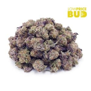 Georgia Pie (AAAA) – Popcorn Nugs Buy Georgia Pie (AAAA) – Popcorn Nugs online Canada