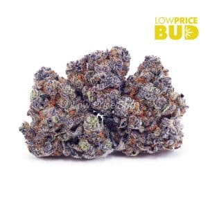Watermelon Kush (AAA) Buy Watermelon Kush (AAA) online Canada