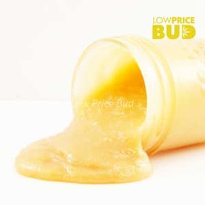 Live Resin – Platinum Blueberry Buy Live Resin – Platinum Blueberry online Canada