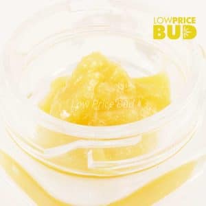 Buy Caviar – 33 Splitter online Canada