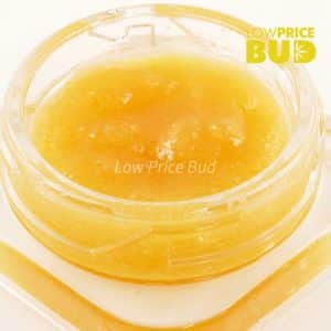 Caviar – Pink Kush Buy Caviar – Pink Kush online Canada