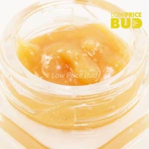 Caviar – Platinum Bubba Buy Caviar – Platinum Bubba online Canada