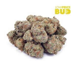 Birthday Cake Kush (AA) Buy Birthday Cake Kush (AA) online Canada