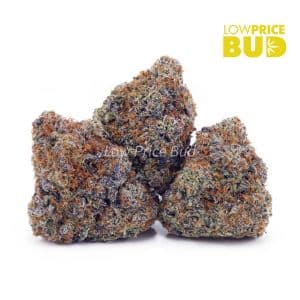 Buy First Class Funk (Craft Cannabis) online Canada