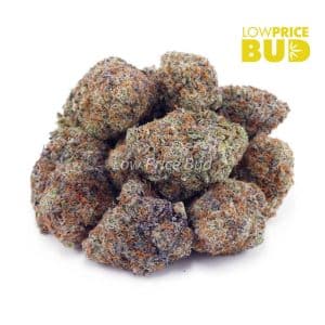 Buy First Class Funk (Craft Cannabis) online Canada