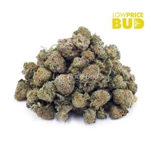 Buy Russian Cream (AAAA) – Popcorn Nugs online Canada