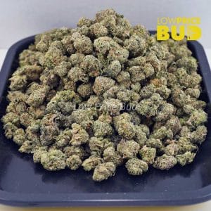 Buy Russian Cream (AAAA) – Popcorn Nugs online Canada