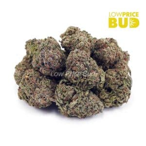 Buy Orange Juice Kush (AA) online Canada