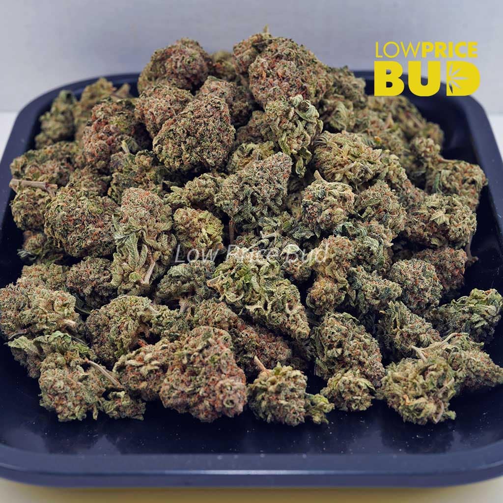 Orange Juice Kush (AA) Buy Orange Juice Kush (AA) online Canada