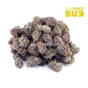 Golden Goat (AAAA) – Popcorn Nugs Buy Golden Goat (AAAA) – Popcorn Nugs online Canada