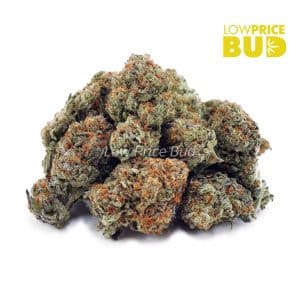Mendo Kush (AA) Buy Mendo Kush (AA) online Canada