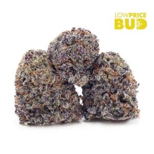 Triangle Kush (AAAA) Buy Triangle Kush (AAAA) online Canada