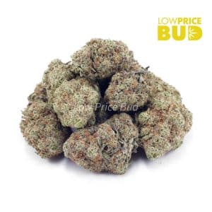 NYC Cheesecake (AA) Buy NYC Cheesecake (AA) online Canada