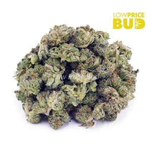 Wedding Crashers (AAAA) – Popcorn Nugs Buy Wedding Crashers (AAAA) – Popcorn Nugs online Canada