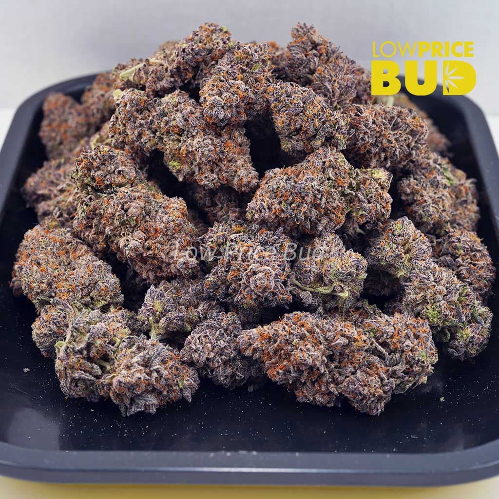 Purple Kush (AAAA) Buy Purple Kush (AAAA) online Canada