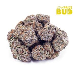 Fortune Cookies (AAAA) Buy Fortune Cookies (AAAA) online Canada