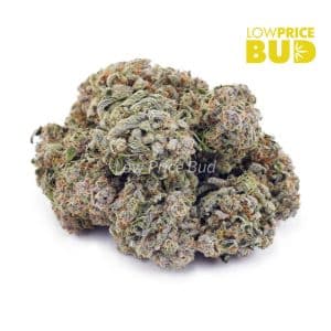 Buy Super Silver Haze (AA) online Canada
