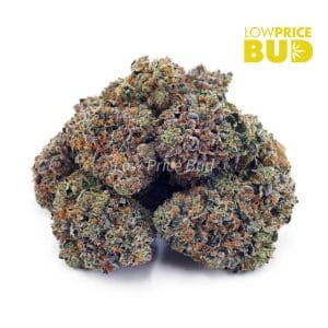 Pink Kush (AAAA) Buy Pink Kush (AAAA) online Canada