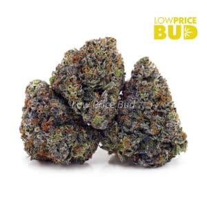 Pink Tuna (AAAA) Buy Pink Tuna (AAAA) online Canada