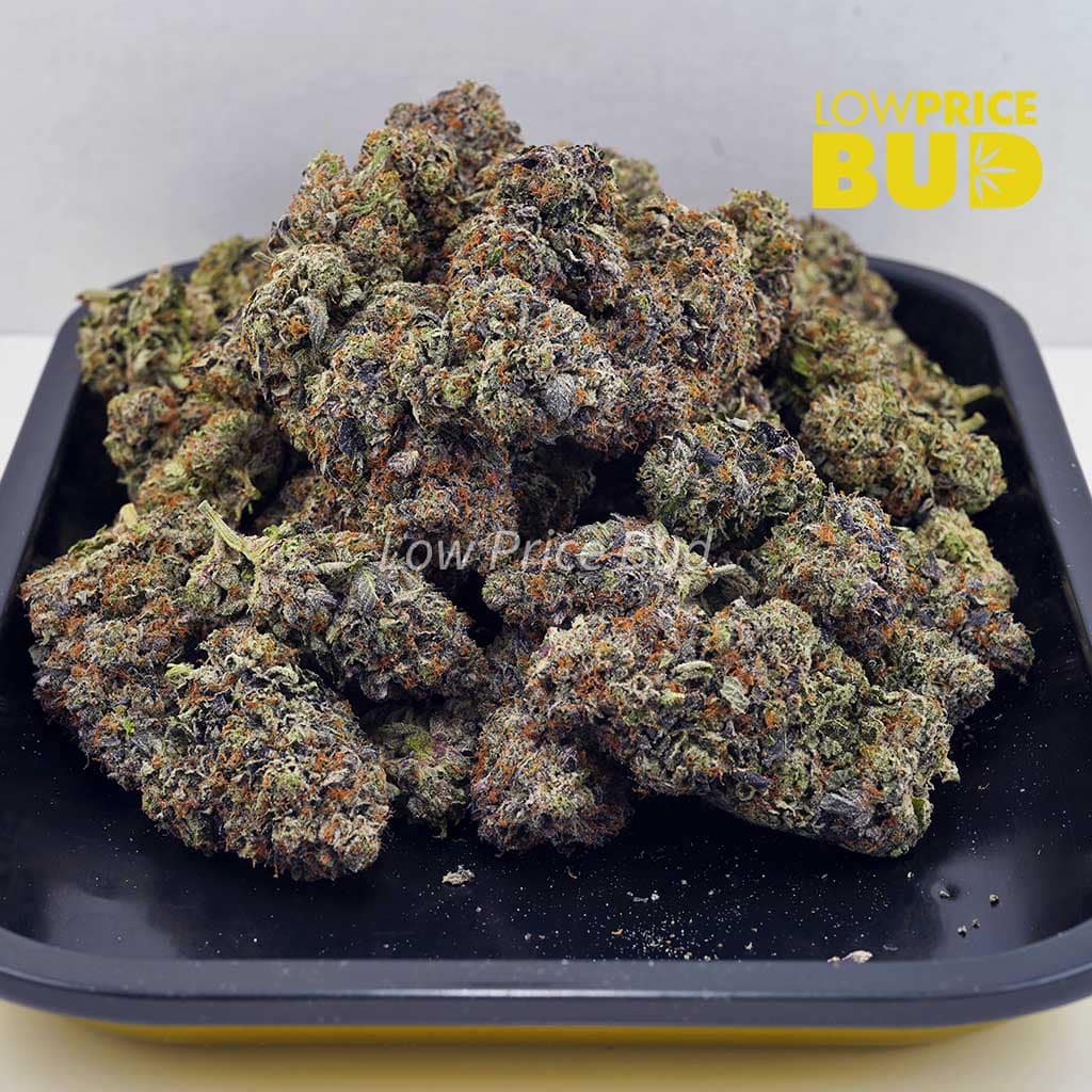 Pink Tuna (AAAA) Buy Pink Tuna (AAAA) online Canada