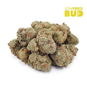 Northern Lights (AAA) Buy Northern Lights (AAA) online Canada