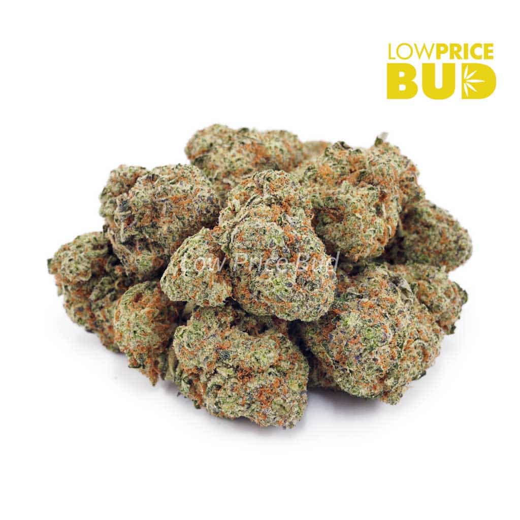 Northern Lights (AAA) Buy Northern Lights (AAA) online Canada