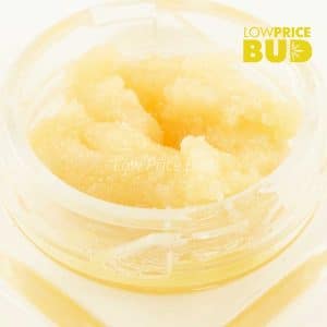 Caviar – Bruce Banner Buy Caviar – Bruce Banner online Canada