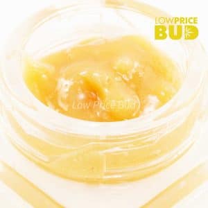 Buy Caviar – Incredible Hulk online Canada