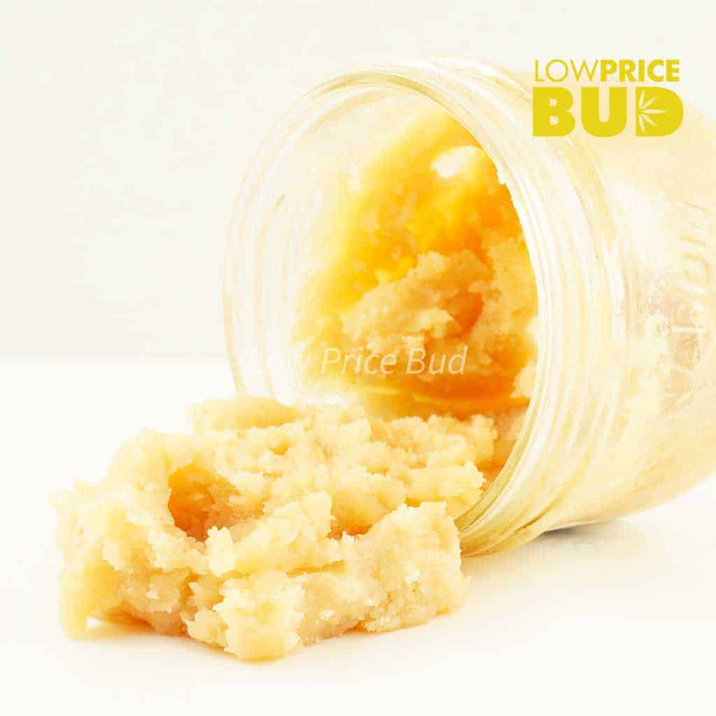 Caviar – Bruce Banner Buy Caviar – Bruce Banner online Canada