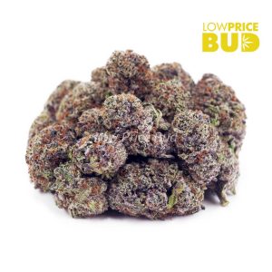 Buy Gods’s Green Crack (AAAA) online Canada