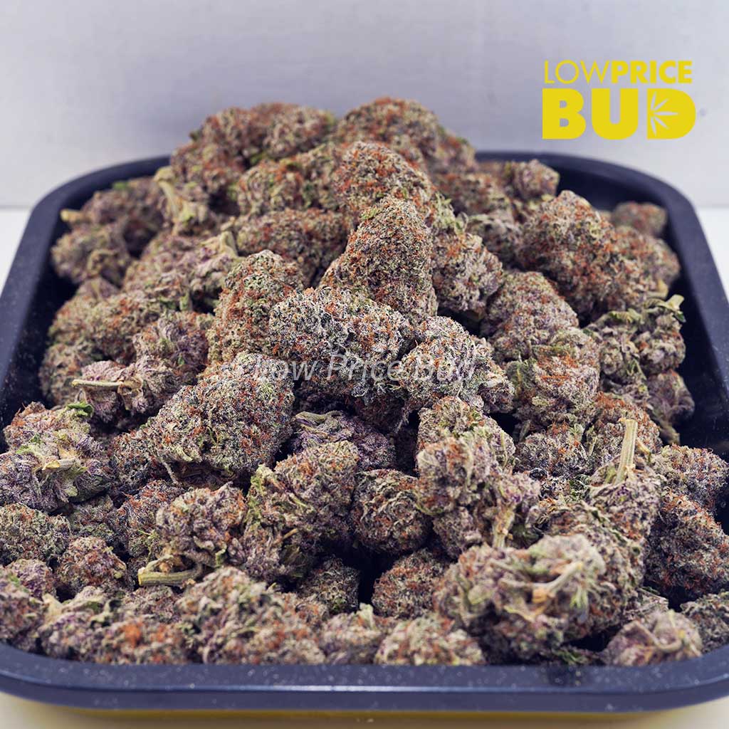 Gods’s Green Crack (AAAA) Buy Gods’s Green Crack (AAAA) online Canada