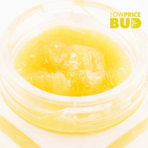 Buy Caviar – Platinum Bubba online Canada