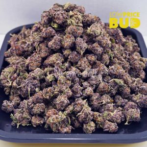 Purple Thunder Fuck (AAAA) – Popcorn Nugs Buy Purple Thunder Fuck (AAAA) – Popcorn Nugs online Canada