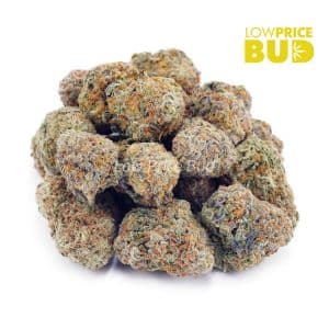 Nirvana (AAA) Buy Nirvana (AAA) online Canada